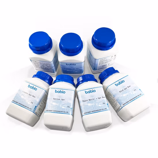 Cultivo líquido de bacterias biológicas en segundo lugar.