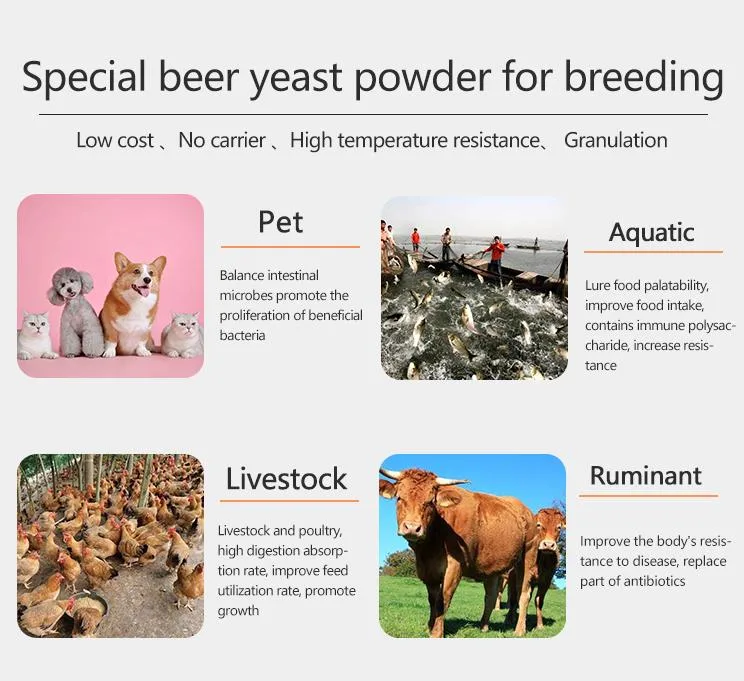 Beer Yeast Powder/Brewers Yeast /Dry Yeast