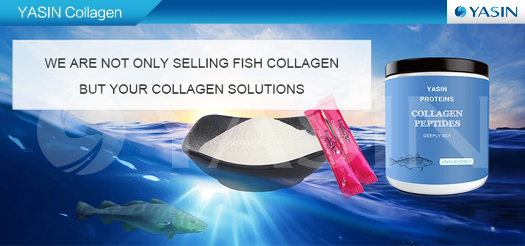 Pure Hydrolyzed Collagen Peptides Powder Best Collagen Powder